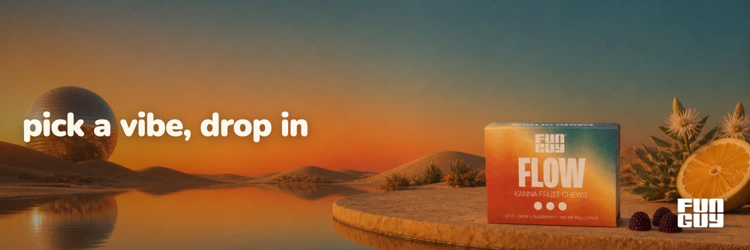 Flow X header banner