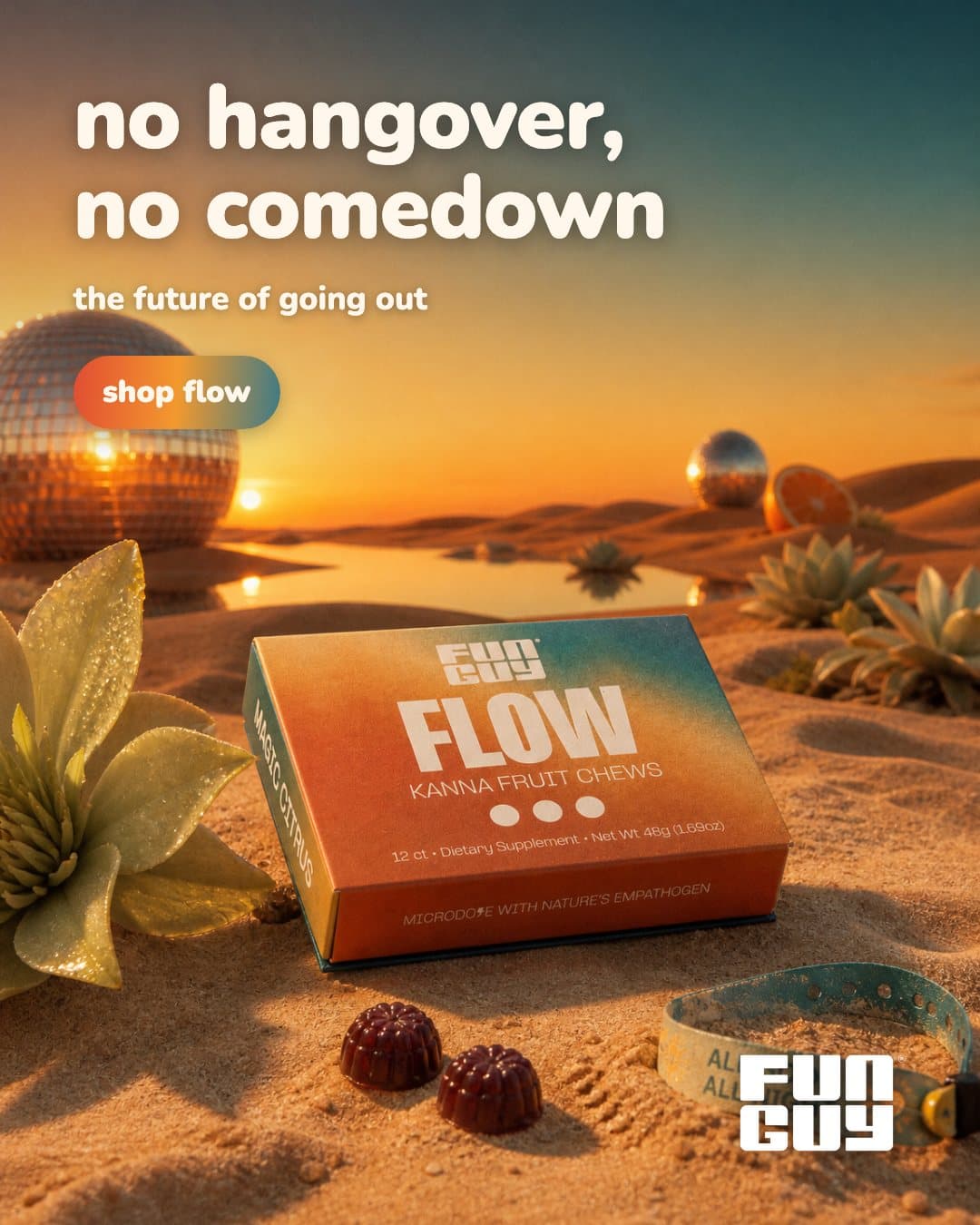 Meta ad: the Flow box on sand with two chews