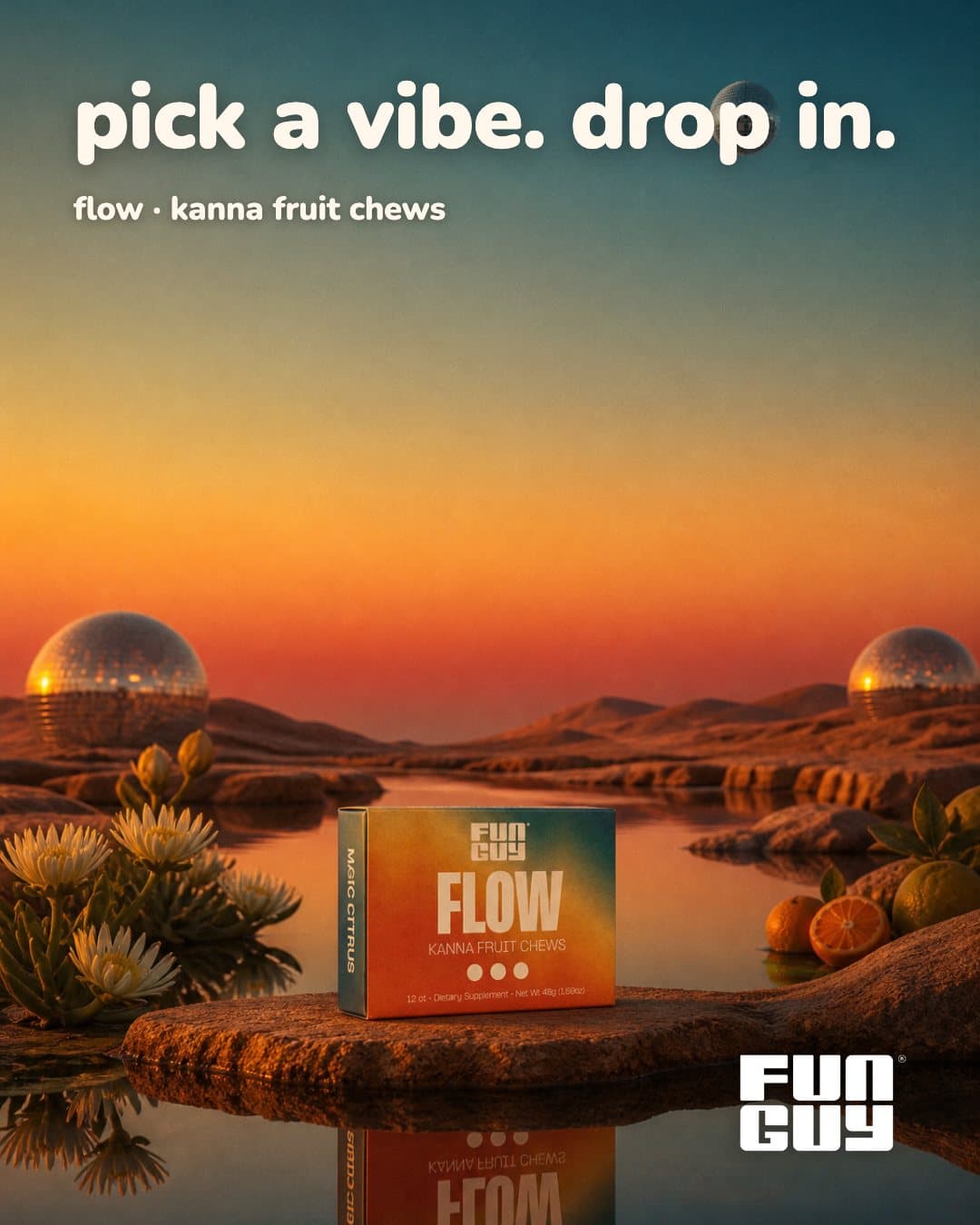 Feed post: the Flow box by a mirror pool at sunset